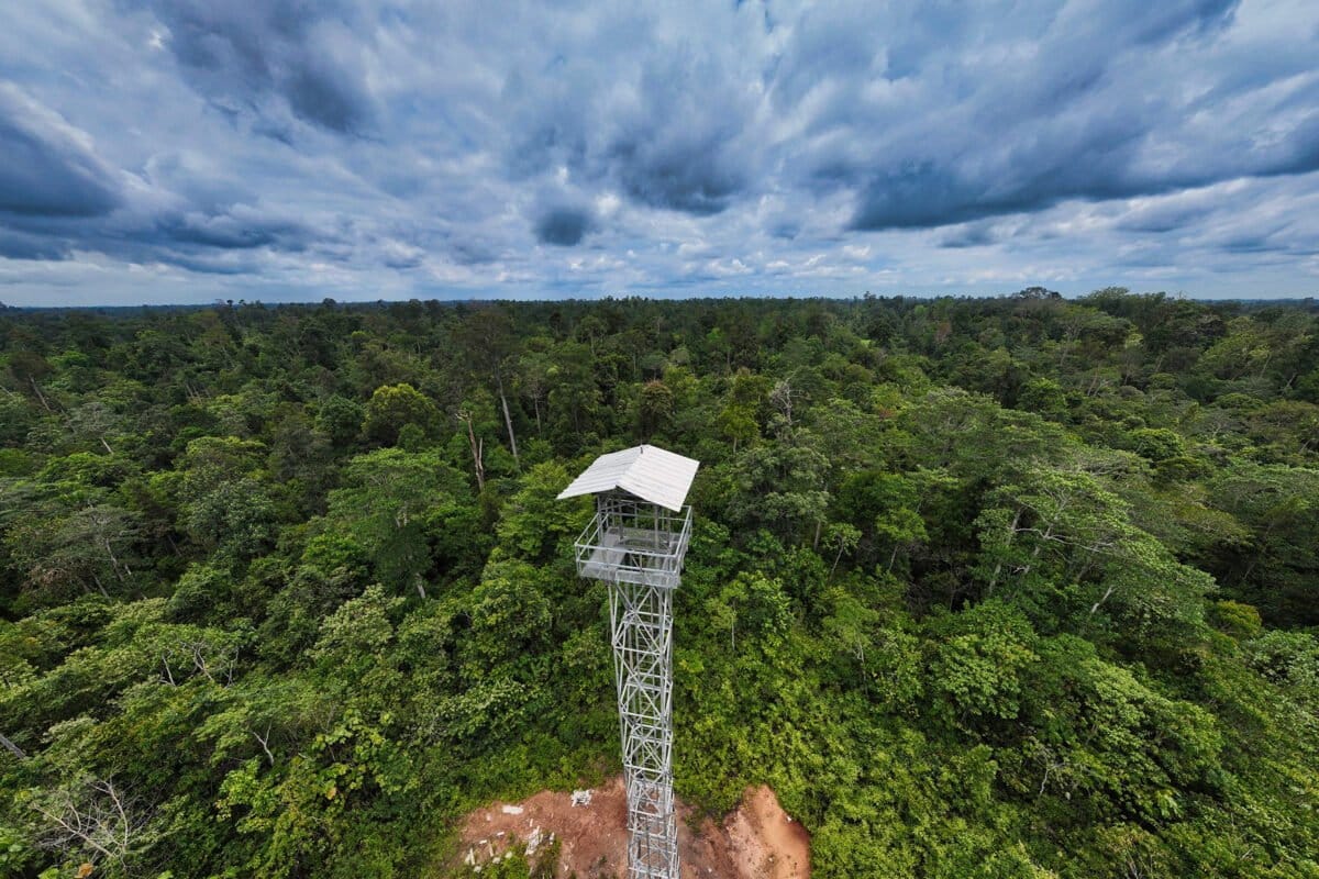 Fire observation tower in Harapan Forest, Jambi, Indonesia. Photo by Rhett Ayers Butler Fire observation tower in Harapan Forest, Jambi, Indonesia. Photo by Rhett Ayers Butler