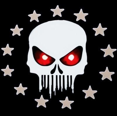 X avatar for @TheSCIF