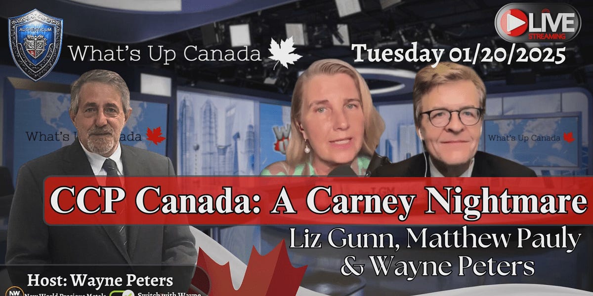 Wayne Stack CCP Canada: A Carney Nightmare - Wayne’s Substack
