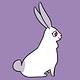 Bunnytracks