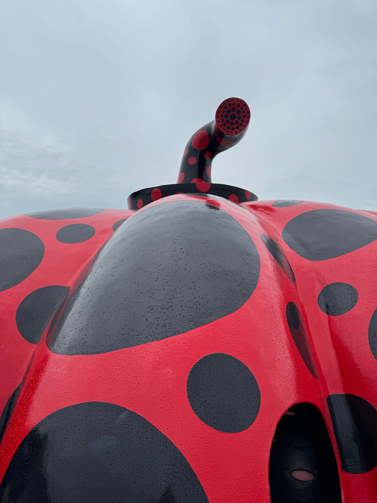 Yayoi Kusama Pumpkin, Naoshima, Japan / Laura Motta, 2026 Yayoi Kusama Pumpkin, Naoshima, Japan / Laura Motta, 2026