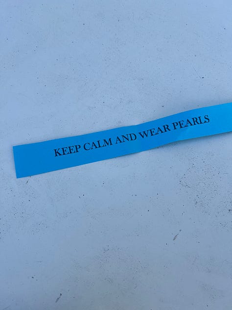 Ventura harbor with boat masts. Red boat. Blue boat. Rose, Natalie and Max eating ice cream. Free mermaid advice: Keep calm and wear pearls. Two dogs sitting together on a rug. A stack of books. Sunset through the trees.