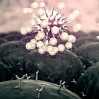 How Your Gut Tells Friend From Foe