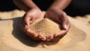 Holding Sand