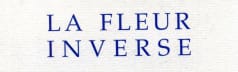 Fleur’s Substack
