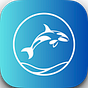 Orca & Fishbowl
