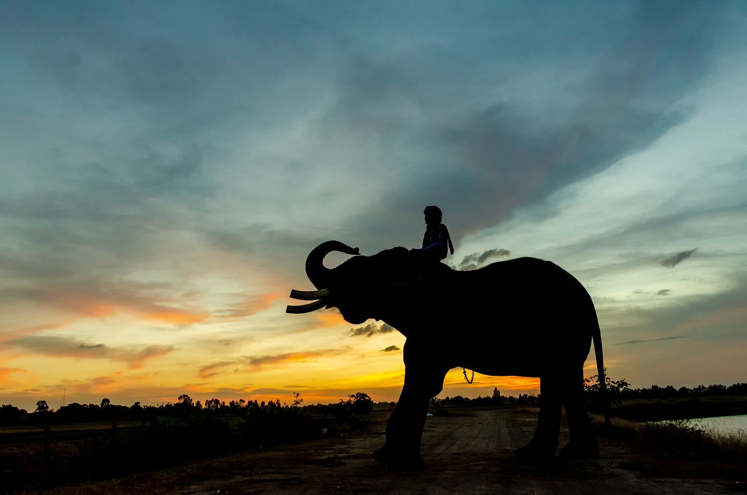 child riding an elephant with a blue and yellow sunrise or sunset in the background child riding an elephant with a blue and yellow sunrise or sunset in the background