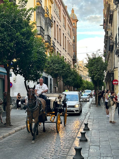 Córdoba Mosque/Cathedral, toffee apples, a street lined with orange trees