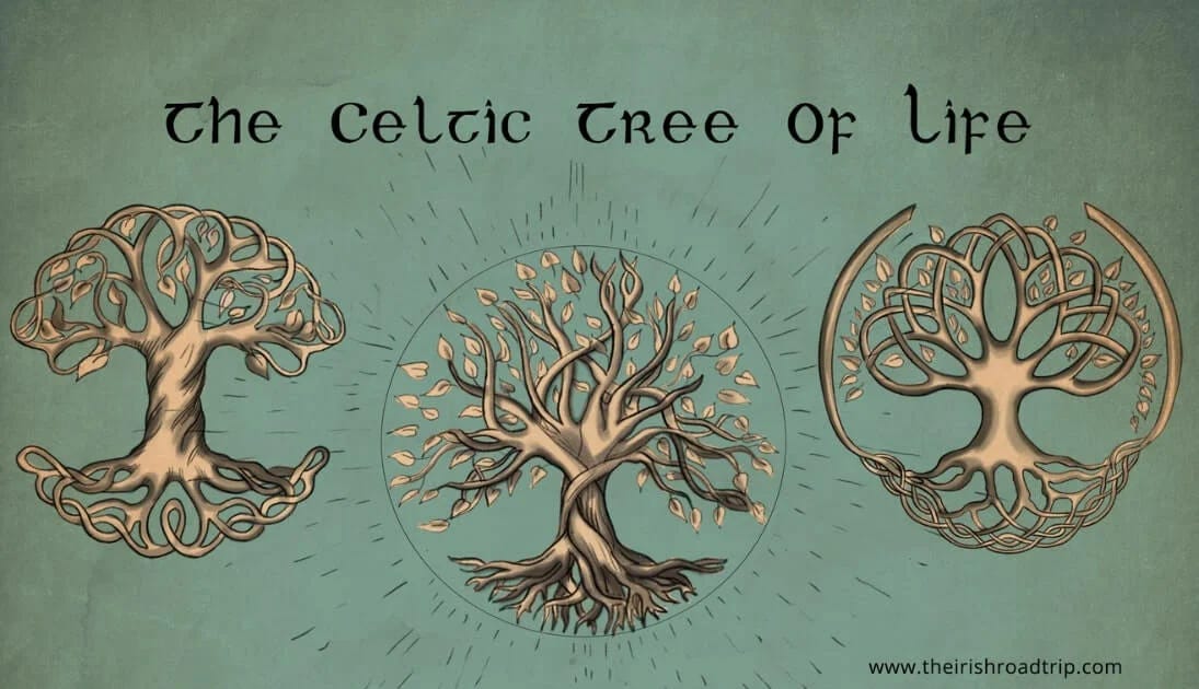 The Celtic Tree of Life (Crann Bethadh): Meaning + History
