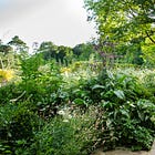 How to plant your garden - the essential planting guide for the Small Garden Design course