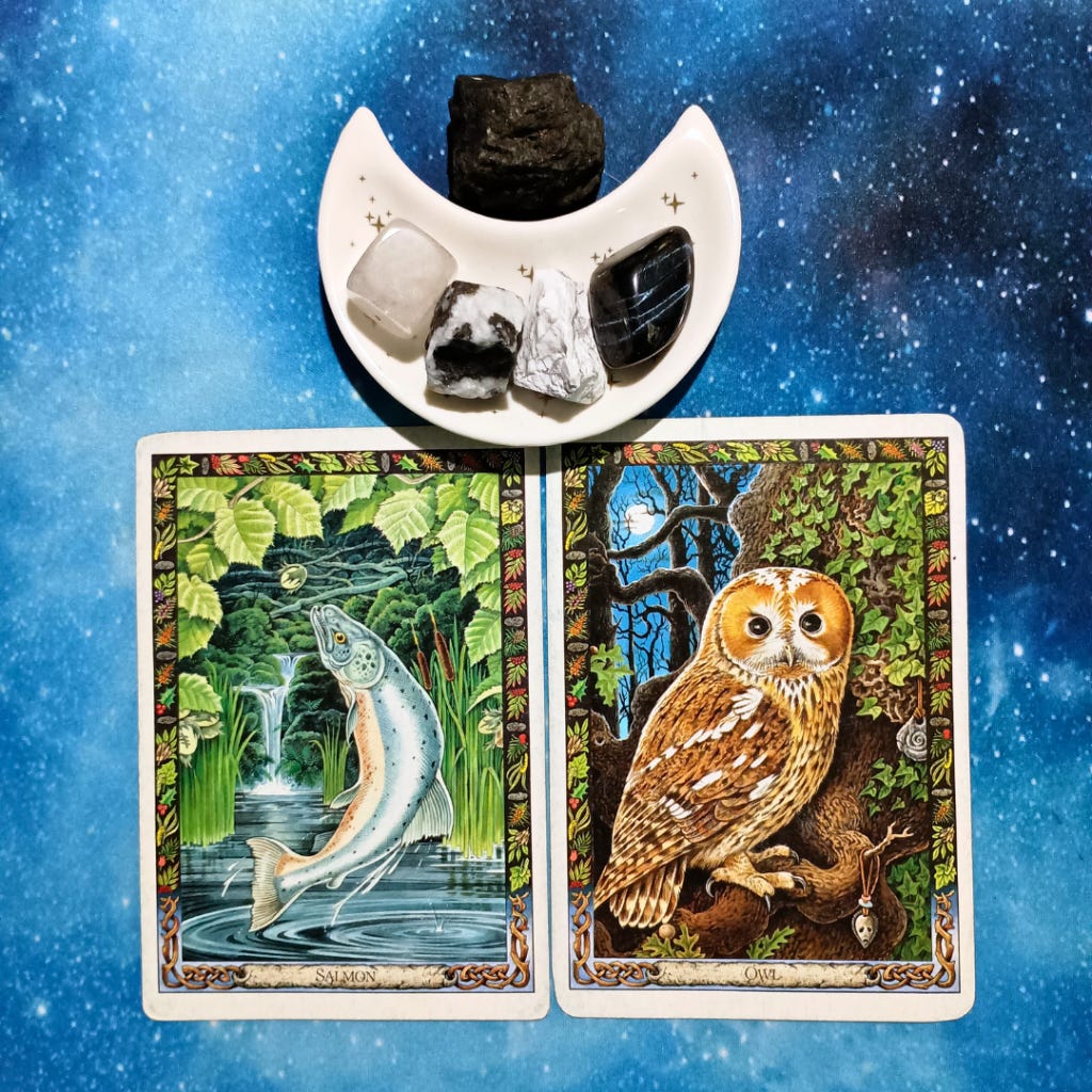 Work Smart, Not Hard! ~ A Message From the Universe, 2 Druid Animal Oracle cards and crystals on a starry blue background