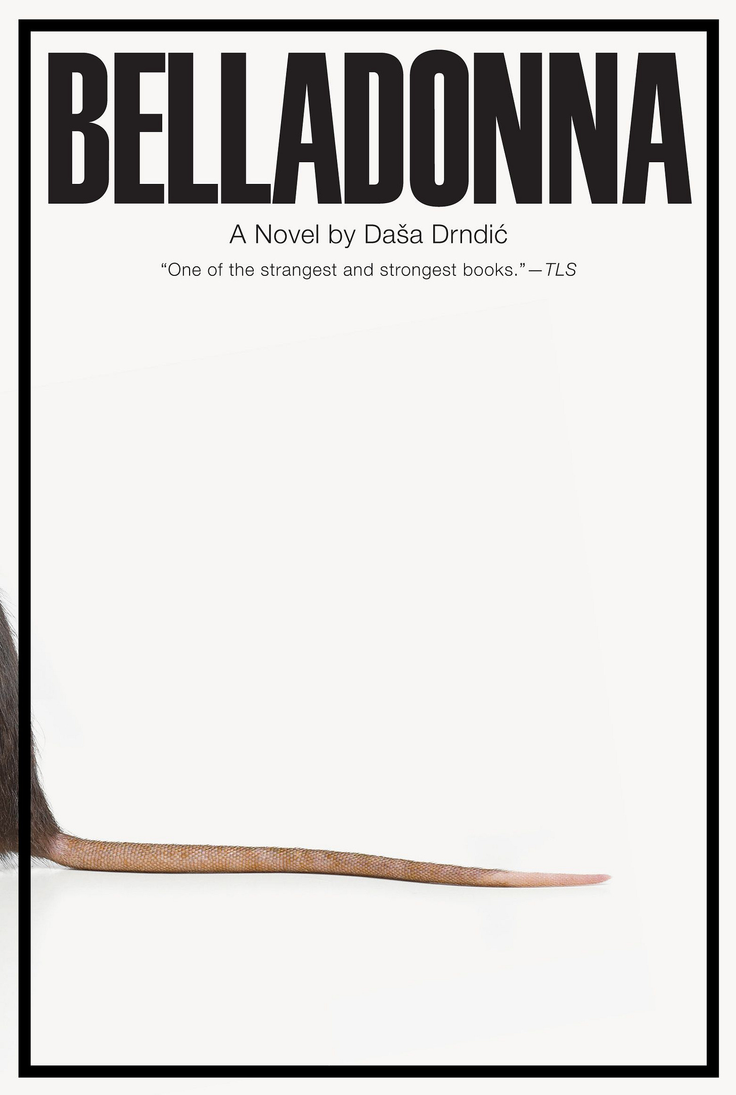 Belladonna by Daša Drndić | New Directions | New Directions Publishing
