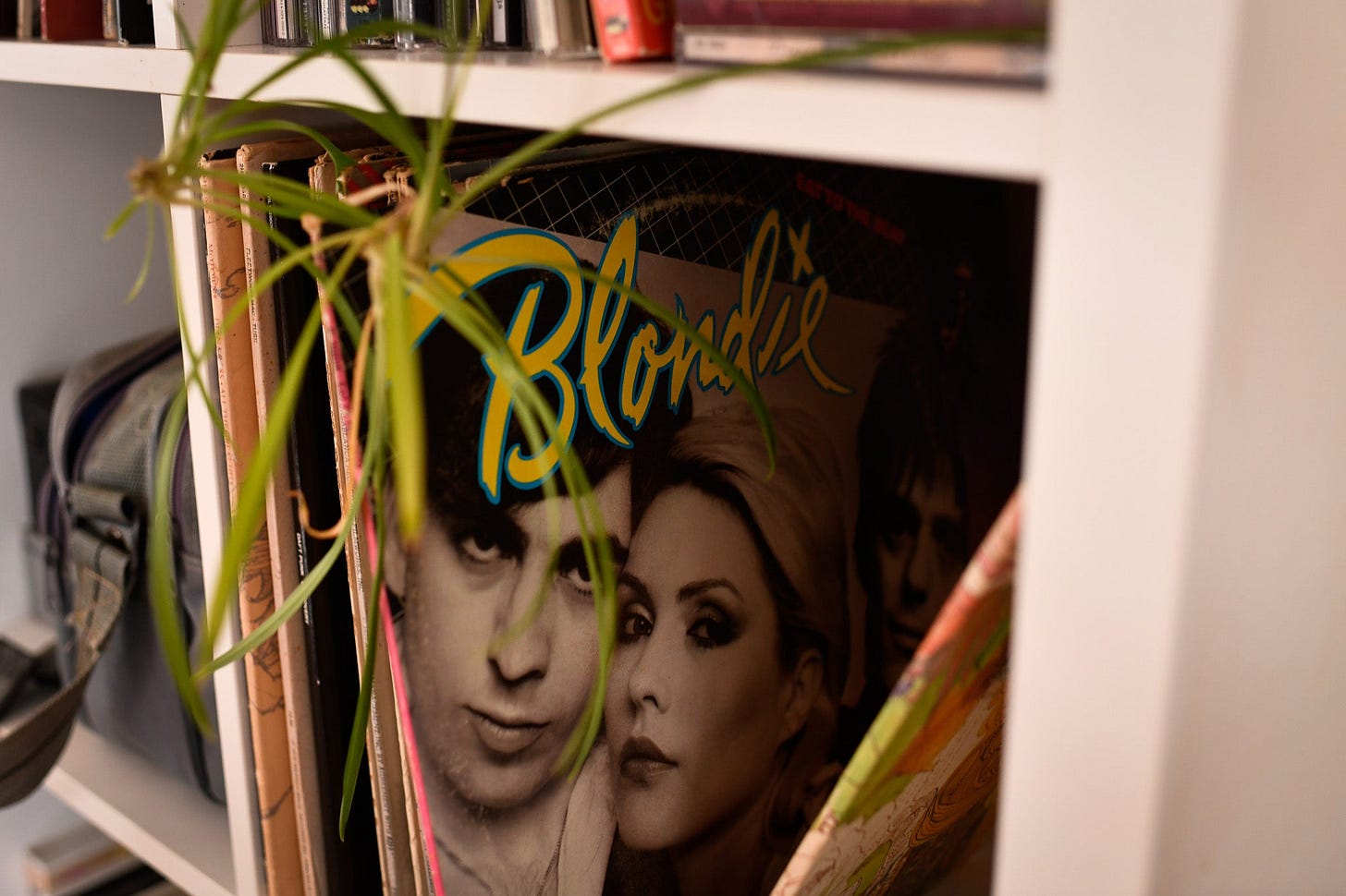 a Blondie record album shown in a bookshelf