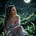 Moonlit Blue Nabi's avatar