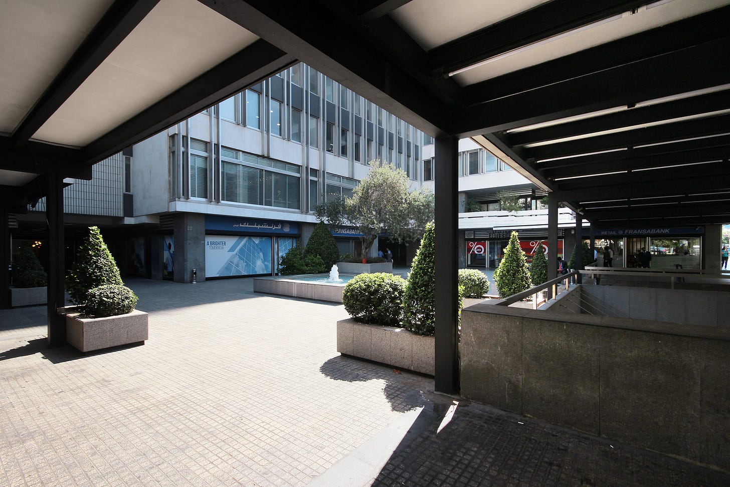 IMG_8620.jpeg IMG_8620.jpeg