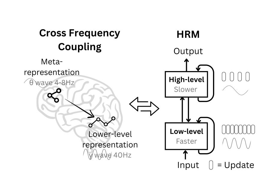 HRM Brain Architecture Diagram