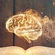The Pragmatic Mind