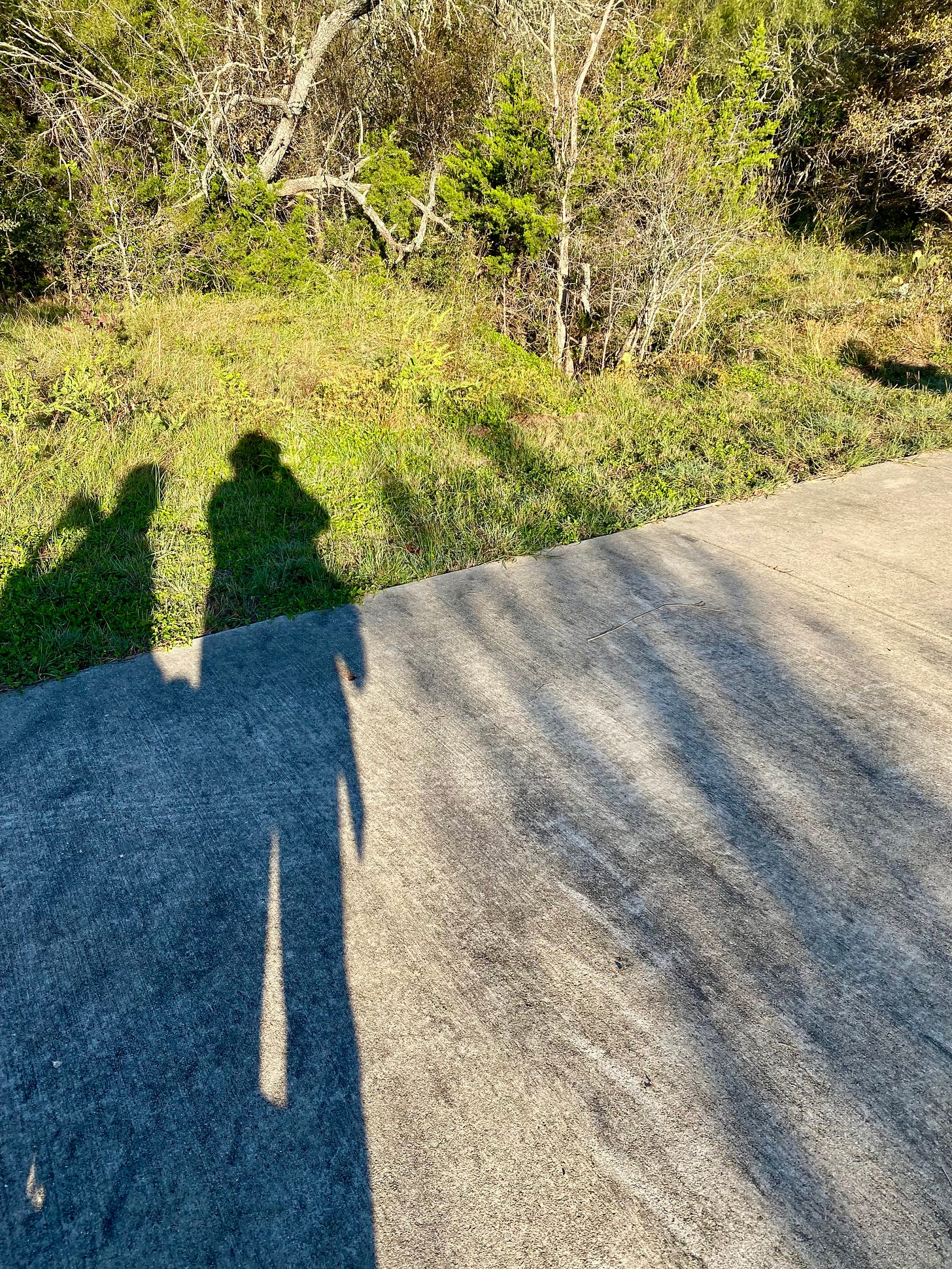 The shadows of two humans stretch across a wide concrete path and into the greenery beyond. The first shadow, Eric, sits in a big power wheelchair with a headrest arcing toward his neck. The second shadow belongs to Nicole, wearing a shade hat and a jacket tied around her waist as she takes the photo. Due to the low position of the sun, their legs are elongated while their upper bodies are compressed. The thicket of trees, snags, and shrubs is brightly illuminated in the early morning light.