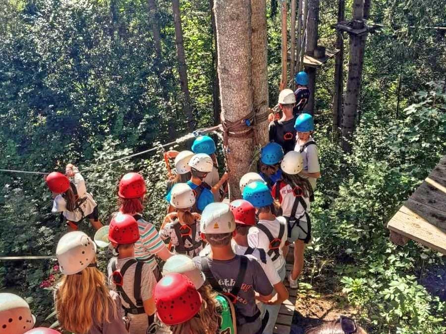 Native level English speaking camp counsellors wanted in Germany Native level English speaking camp counsellors wanted in Germany