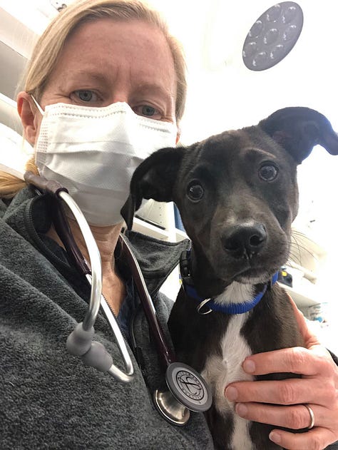 Dr. Melissa Magnuson with her patients