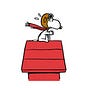 Tim Gallagher's avatar