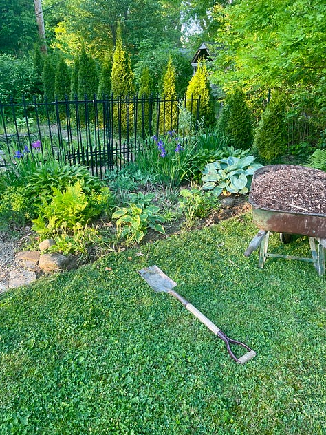 Weeding, edging and mulching the pond garden and the Black Locust hedge at the end of the lawn.