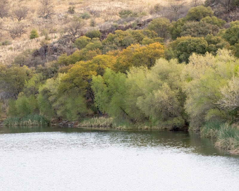20250403-PenaBlanca-135-Edit.jpg