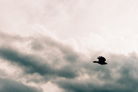 Fuji photographs of life in Montana by Tyler Knott Gregson