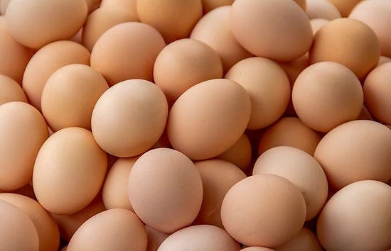 eggs