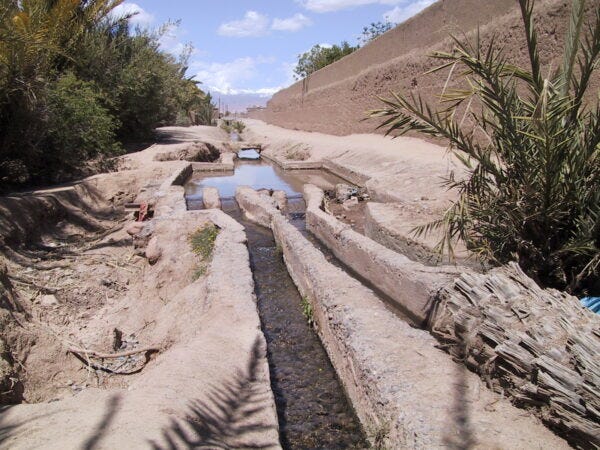 oasis rill
