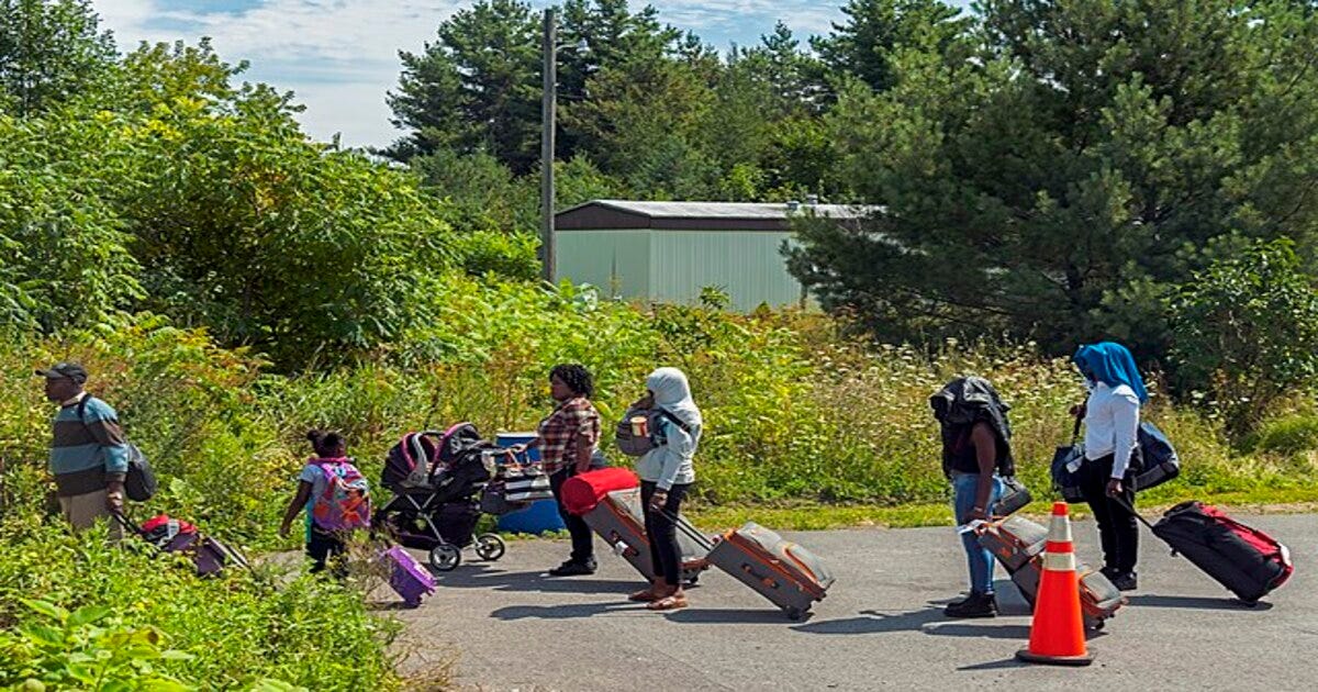 UN ranks Canada as world’s fourth-largest refugee nation