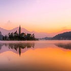 Back to School - Day V