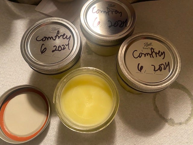 comfrey salve in half pint jars