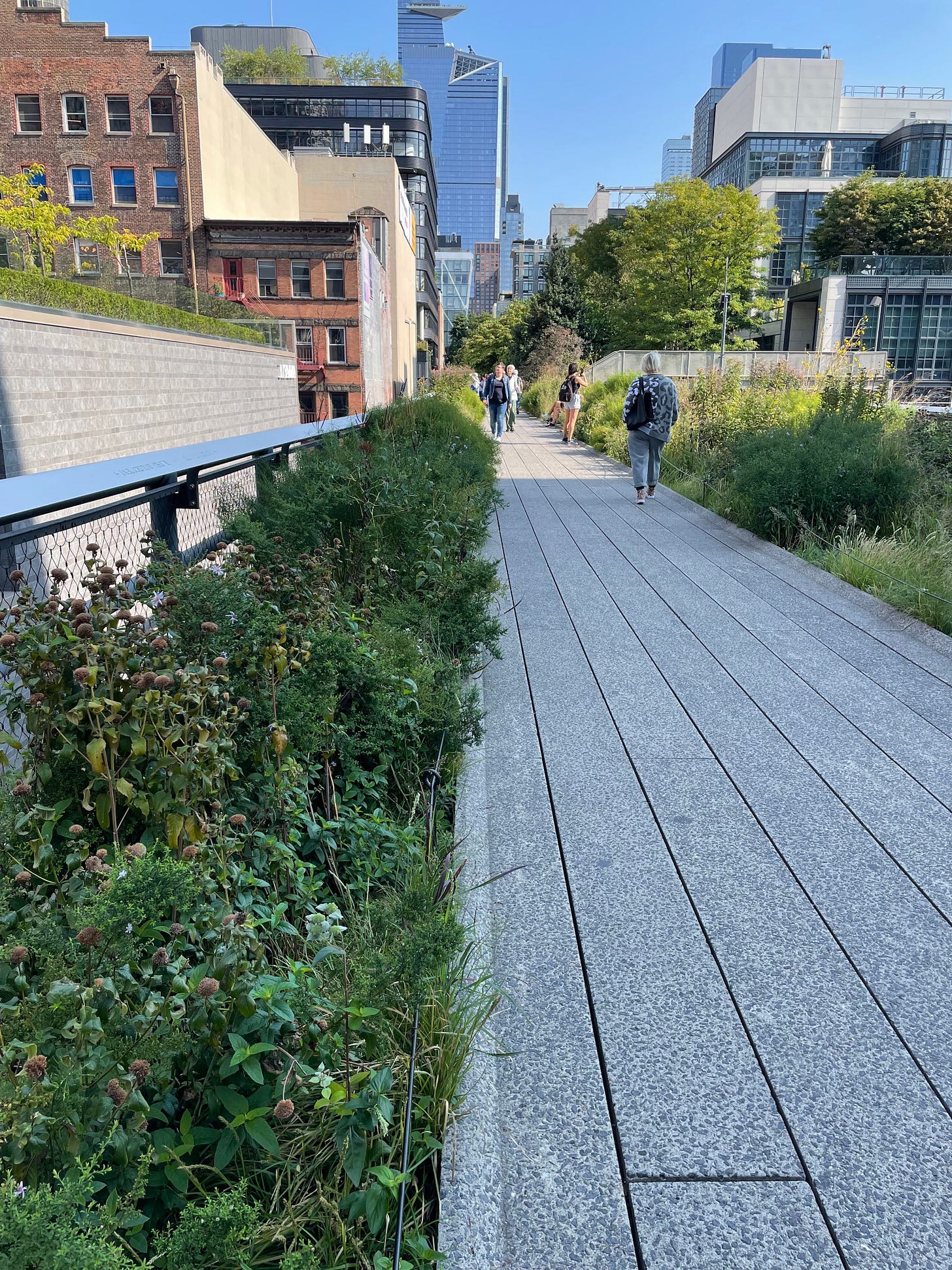 NYC high line.jpg