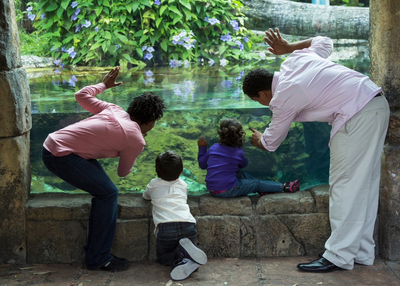 family at the zoo