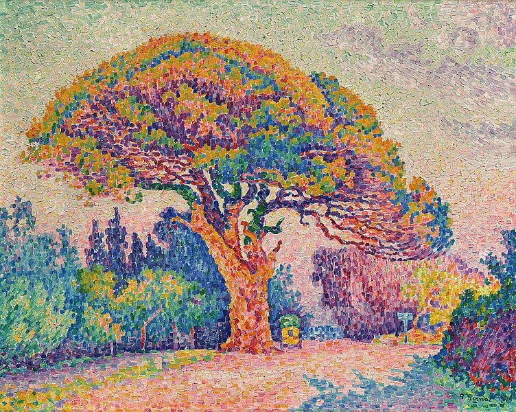 File:Paul Signac, 1909, The Pine Tree at Saint Tropez, oil on canvas, 72 x 92 cm, Pushkin Museum, Moscow.jpg File:Paul Signac, 1909, The Pine Tree at Saint Tropez, oil on canvas, 72 x 92 cm, Pushkin Museum, Moscow.jpg