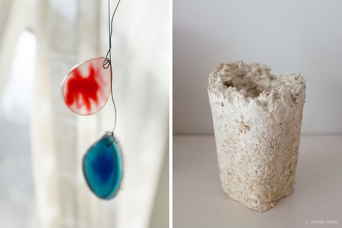 Bioplastics and mycelium cup