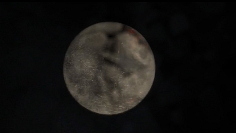 A group of nine composite images with themes that include the ocea, closeups of sand and wide shots of beaches, waves crashing in various directions, a pocket watch, the full moon, trees and nature, blue amoeba-like specs, and a person crouching on the beach. The images span from textured and grainy 8mm to high-definition and more smooth.