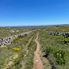 I’m Leading a Contemplative Walking Retreat in France. Here’s Why.