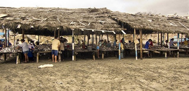 Slow travel eventually revealed chop shacks on the beach of Crucita Slow travel eventually revealed chop shacks on the beach of Crucita