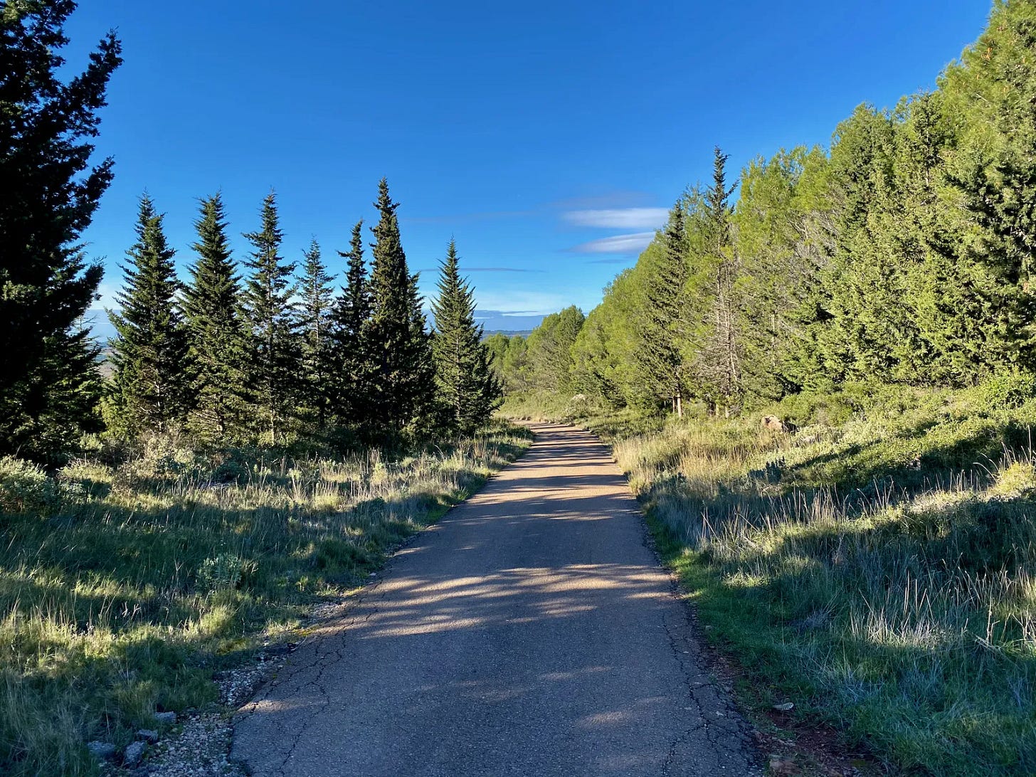 Route de montagne