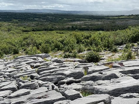 Lough Avalla Farm, Feral goats, Stone circle
