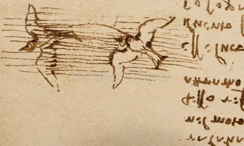 Desenhos Manuscritos De Aves Voando Por Leonardo Da Vinci No Antigo Livro  Codice Sul Volo by E. Roveyre 1893 Imagem Editorial - Imagem de leonardo,  gravado: 283104580