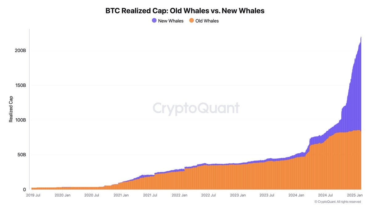 Bitcoin Adoption: Institutional FOMO - Chart Pilgrim