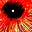 I Am A Burning Planet's avatar