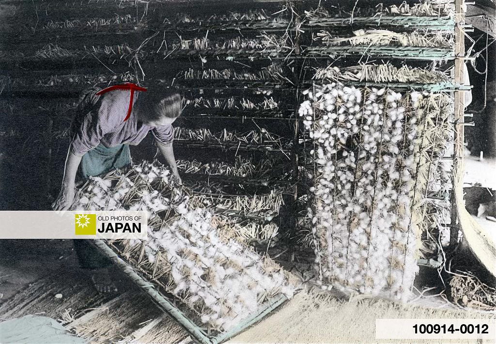 The Silk Industry of Japan