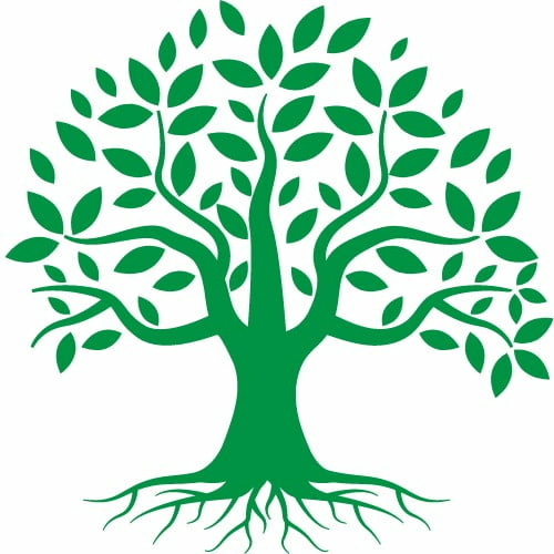 Ray’s Crete Substack