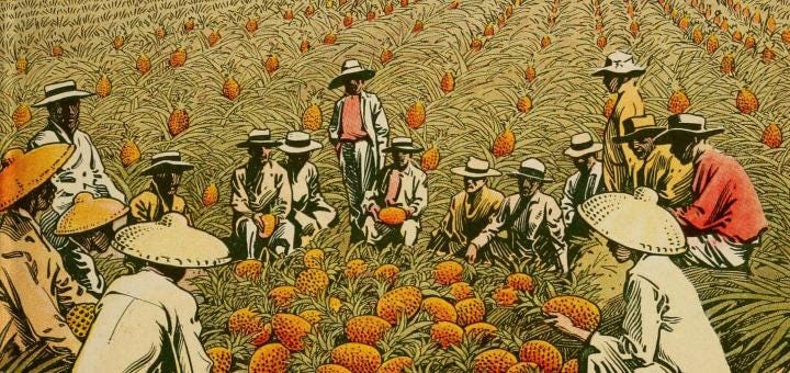 Drawing of people kneeling in pineapple plantation