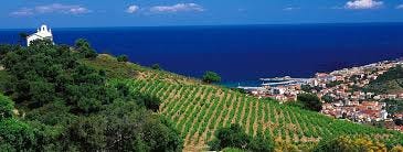 Collioure et Banyuls, terres du bout de la France Génération Vignerons
