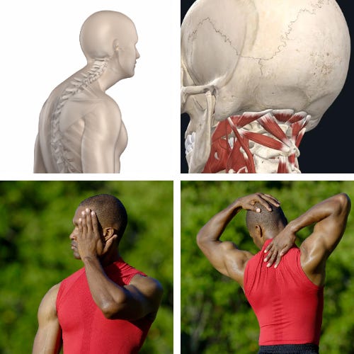 Your head weighs between 10 and 12 pounds. Its like a bowling ball on top of a fishing rod.